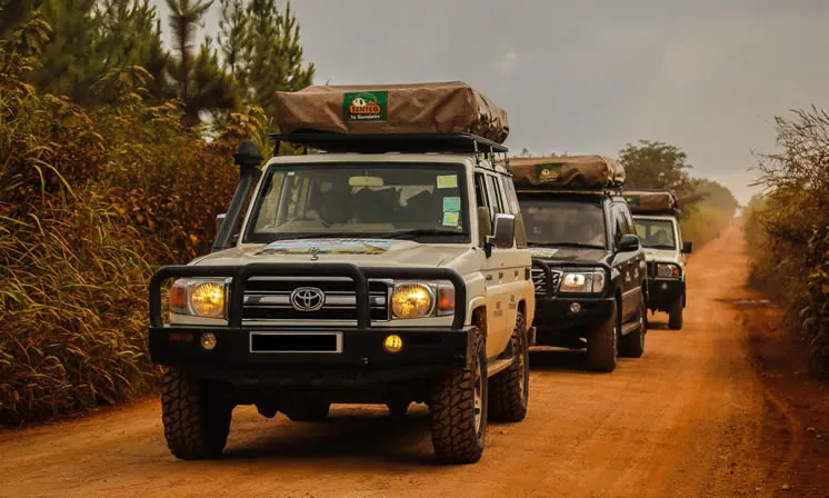 Best Car Rental for Offroading: The Definitive 2026 Guide
