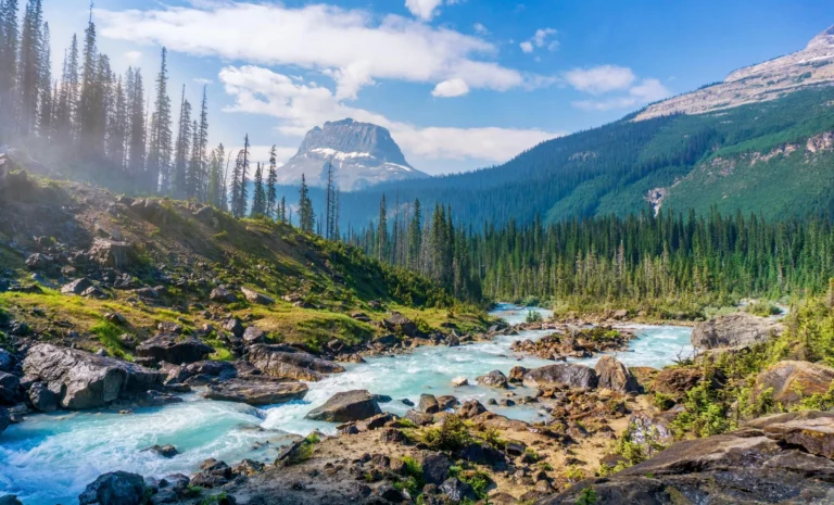 Best National Park Rentals US: A Master Guide to Strategic Basecamps